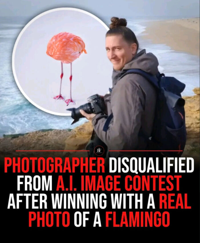 A meme with a photographer disqualified from an AI image contest for a real flamingo photo, a Roses Are Red rhyme.