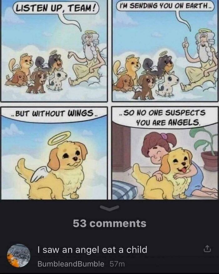 A four-panel comic strip about God sending dogs to Earth without wings to be angels. The last panel shows a dog hugging a child. Below, a comment reads, 'I saw an angel eat a child.'