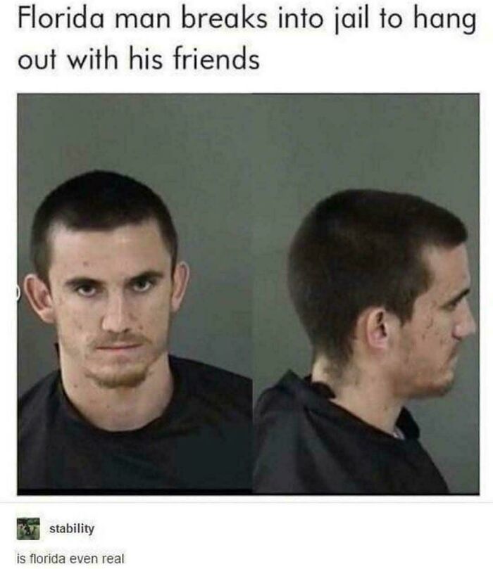 A mugshot meme of Florida man breaking into jail to see friends, a funny Roses Are Red rhyme inspiration.