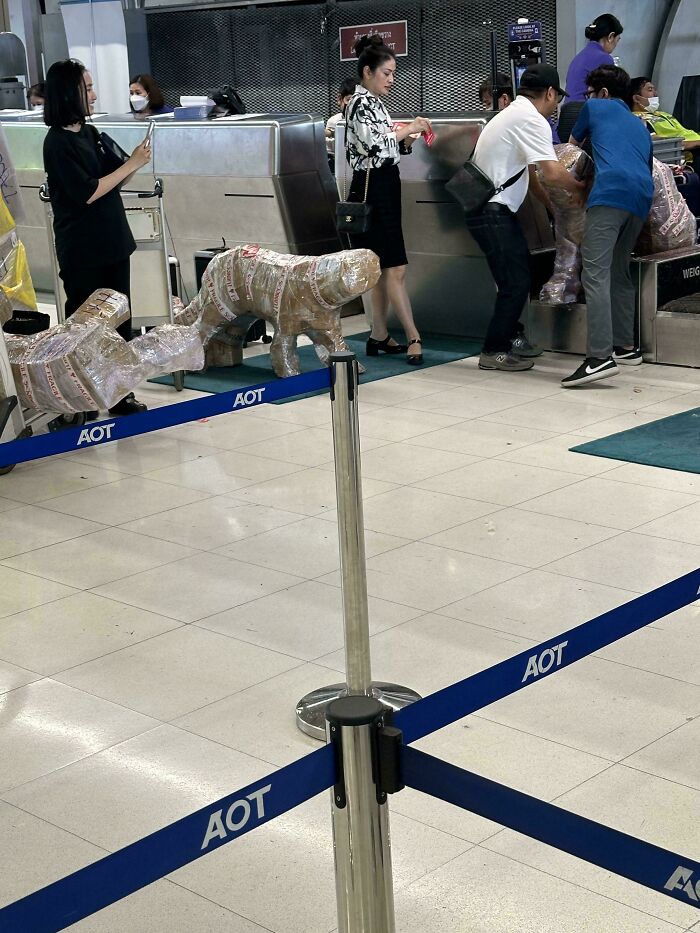Hilarious and weird things spotted at airports: large, oddly-shaped wrapped luggage resembling animals at a check-in.