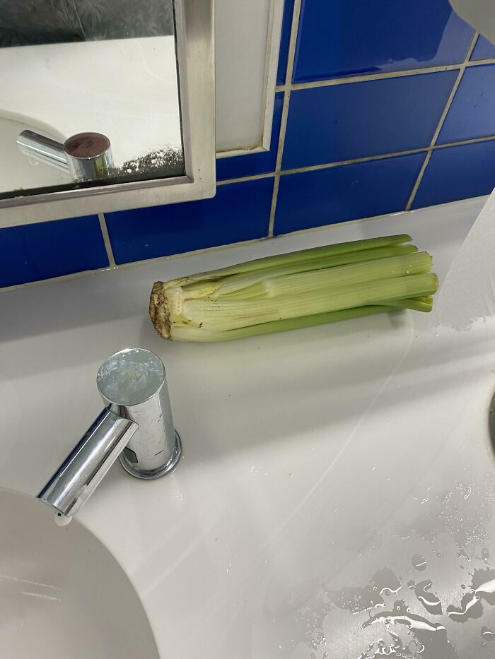 A stalk of celery next to a sink at the airport, a weird thing spotted among other hilarious things.