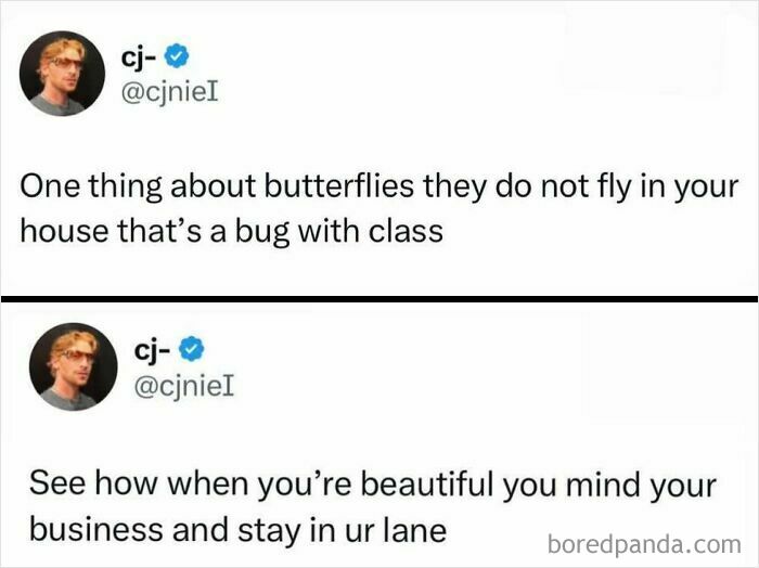 A meme tweet from cj-. Text: One thing about butterflies they do not fly in your house that is a bug with class. See how when you are beautiful you mind your business and stay in ur lane.