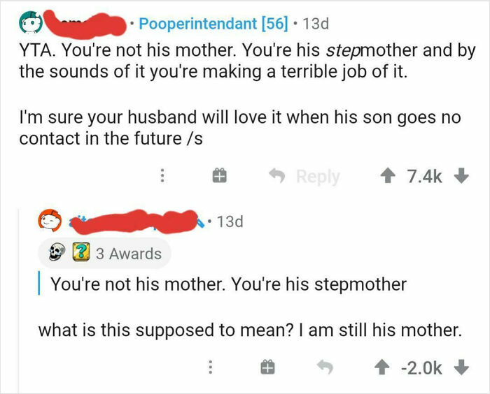 A downvoted comment on Reddit stating that a stepparent is still a mother.