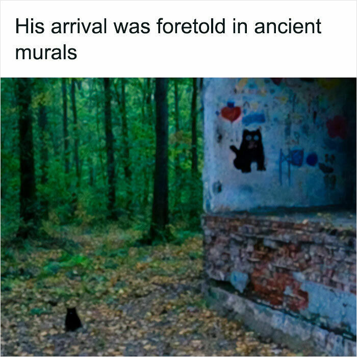A small black cat sits in a forest next to a crumbling wall with cat graffiti, a mystical Cat Meme.