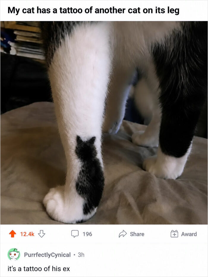 A close-up of a black and white Cat-Memes's leg, showing a black cat-shaped tattoo on its white fur.