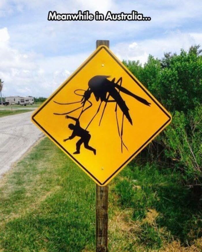 A silly-funny-sign in Australia shows a giant mosquito carrying away a person, warning of the large insects.