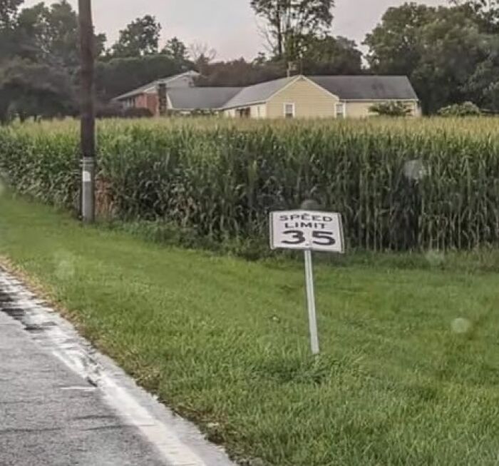 A very short speed limit 3.5 sign on a grassy roadside next to a field of corn, with houses in the background.