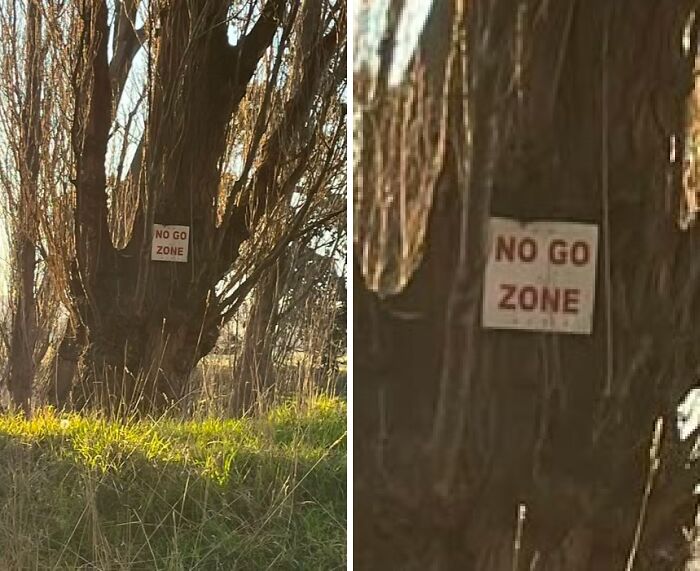 A silly sign on a tree that reads NO GO ZONE in a rural setting.