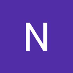 noodinbrisebois avatar