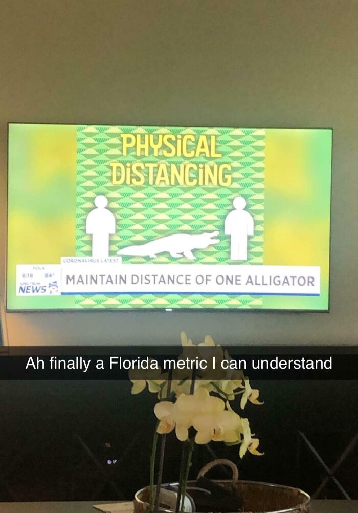 On The Florida News Today: