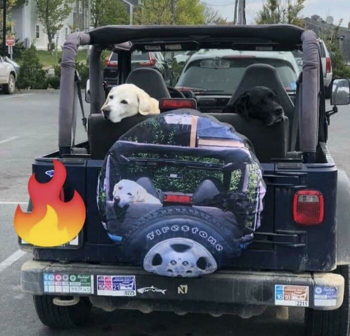 Wholesome animal photos of two dogs, one white and one black, resting in the back of a blue Jeep.