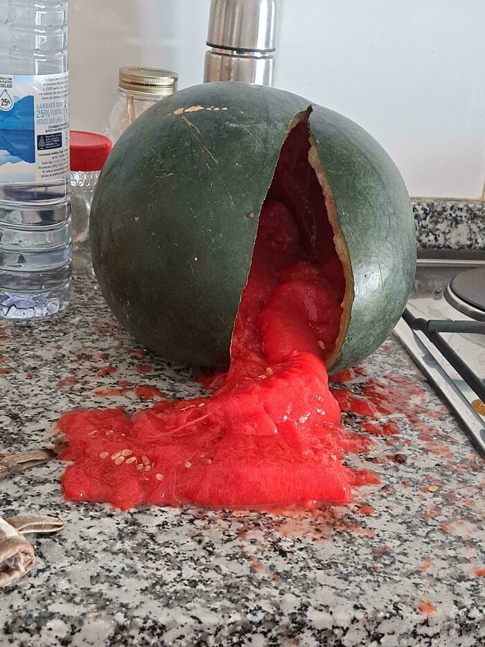 A watermelon has burst open on a kitchen counter, spilling its red flesh and seeds, a huge kitchen fail.