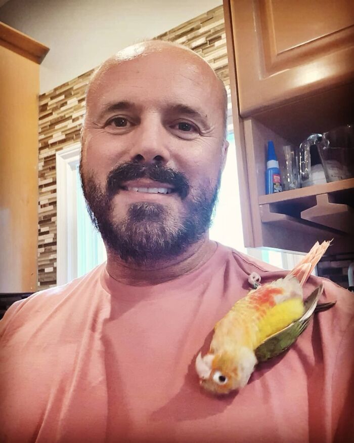 A man smiling at the camera with a cute parrot perched on his shoulder, showcasing wholesome animal photos.