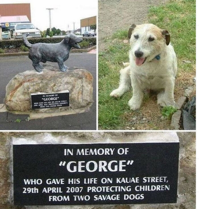 Wholesome animal photos of a memorial for George the dog, who died protecting children from savage dogs, restoring faith in the internet.