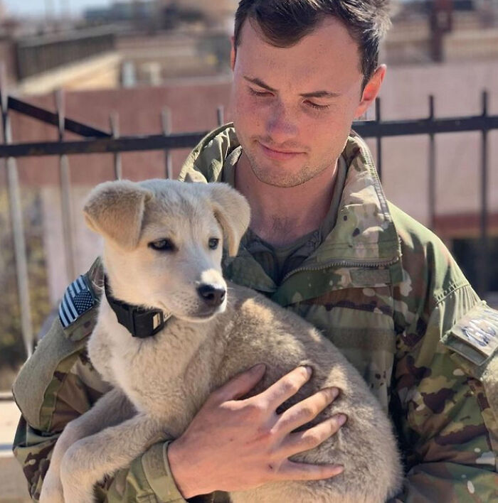 A soldier holding a light-colored puppy, a heartwarming scene among wholesome animal photos.