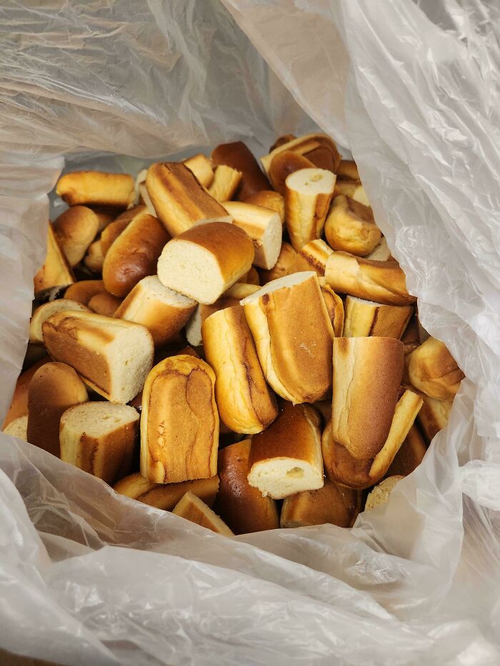 A clear plastic bag filled with many small, cut bread pieces, showcasing a kitchen fail.