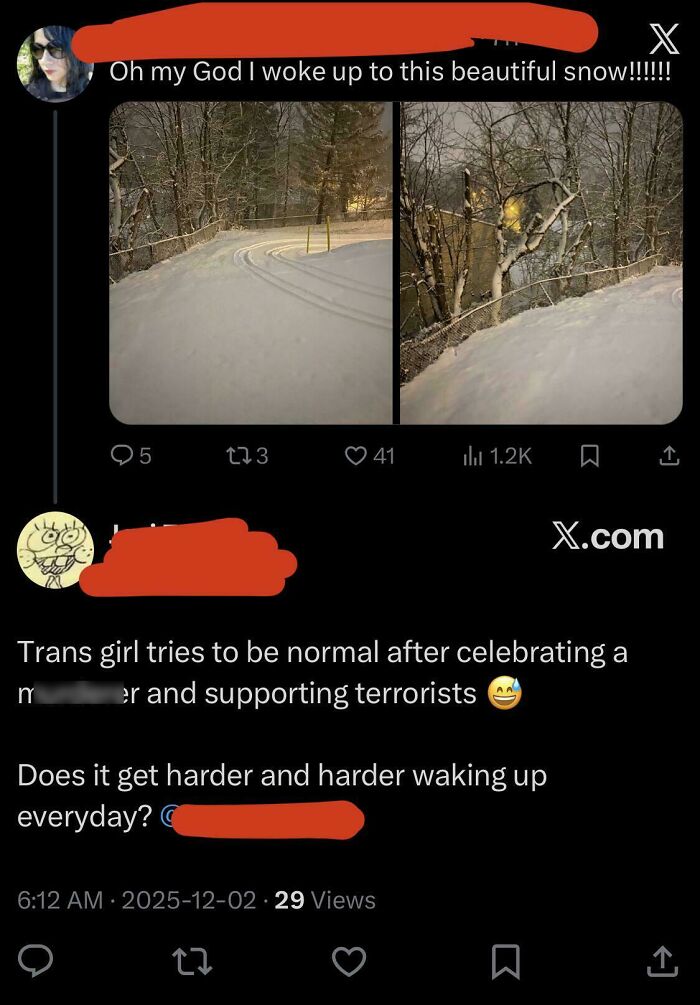 A tweet from a trans girl showing beautiful snow, followed by an unbelievably stupid and infuriating comment targeting her.