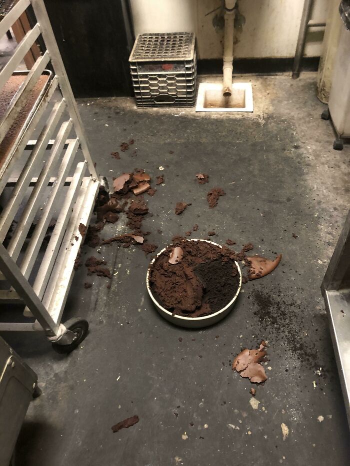 A bowl of crumbled chocolate cake spilled on a dirty floor, a disheartening kitchen fail.