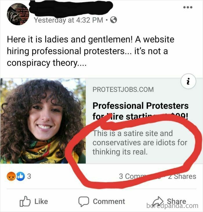 A social media post about a website hiring protesters, debunked as satire, showcasing unbelievably stupid misinterpretations.