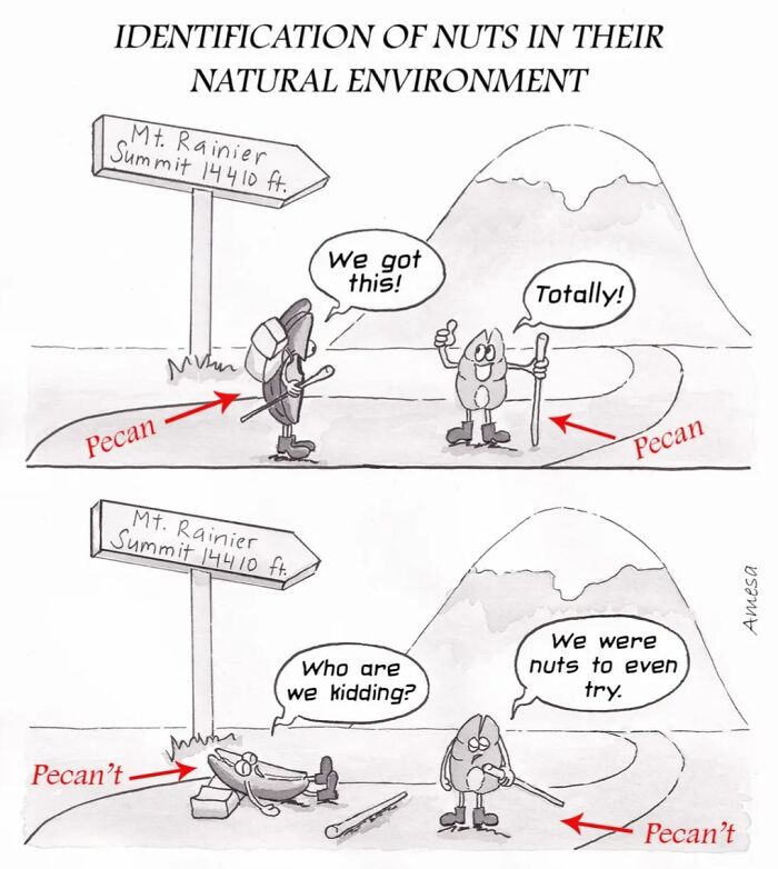 22 Clever Comics By Amesa That Turn Everyday Words Into Unexpected Jokes