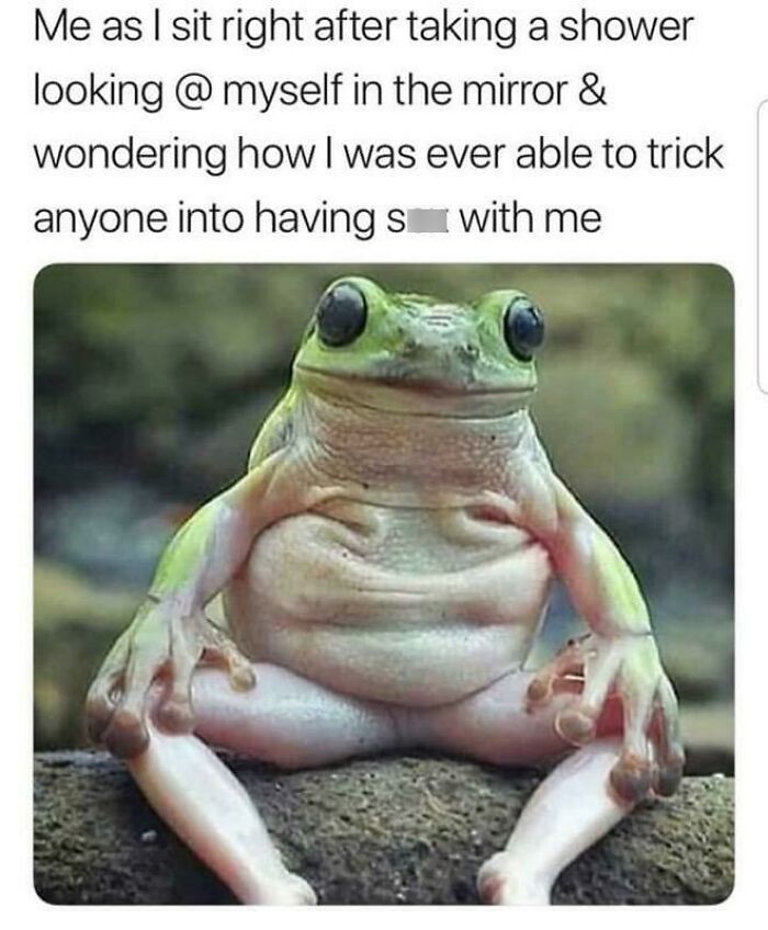 A meme of a frog, appearing thoughtful, captures a relatable moment about relationships and life.