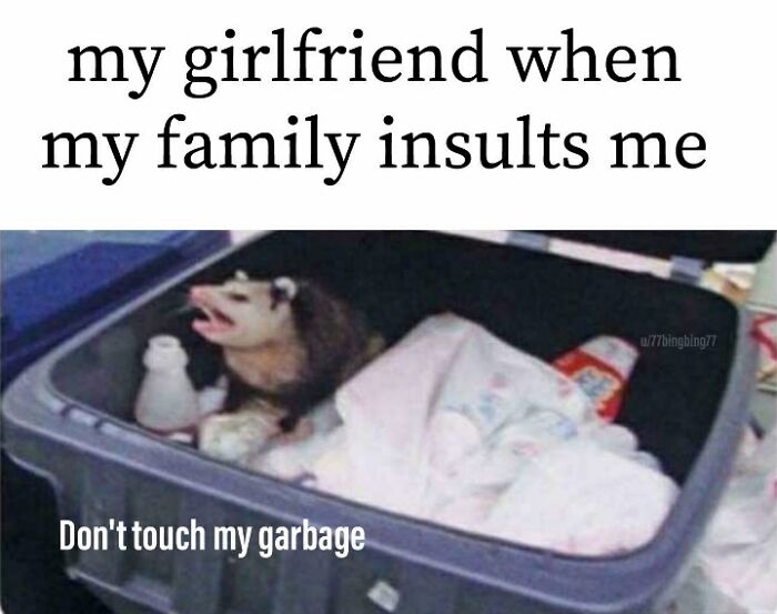 A meme about relationships, featuring an opossum in a trash can with the text Don't touch my garbage.