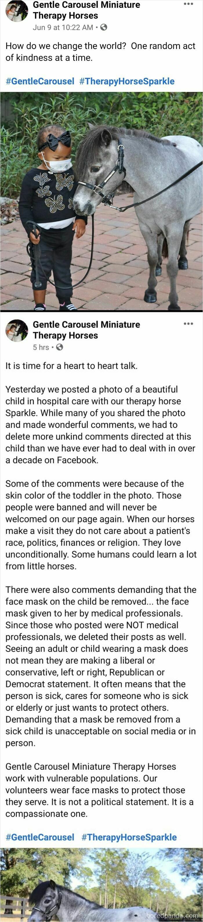 A young child in a mask with a therapy horse, highlighting unbelievably stupid comments regarding race and masks.