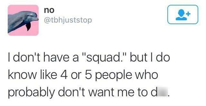 A social media meme about relationships and friendship, a dolphin profile picture with text discussing having a small group of supportive friends.
