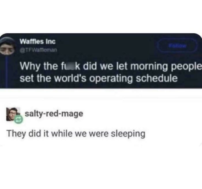 A meme with a tweet asking why morning people set the world's schedule, and a reply stating they did it while we were sleeping.
