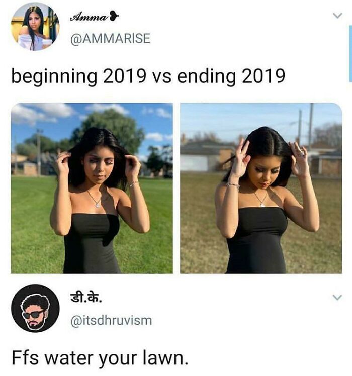 A meme comparing a woman's appearance at the beginning and end of 2019, with a comment about watering the lawn.