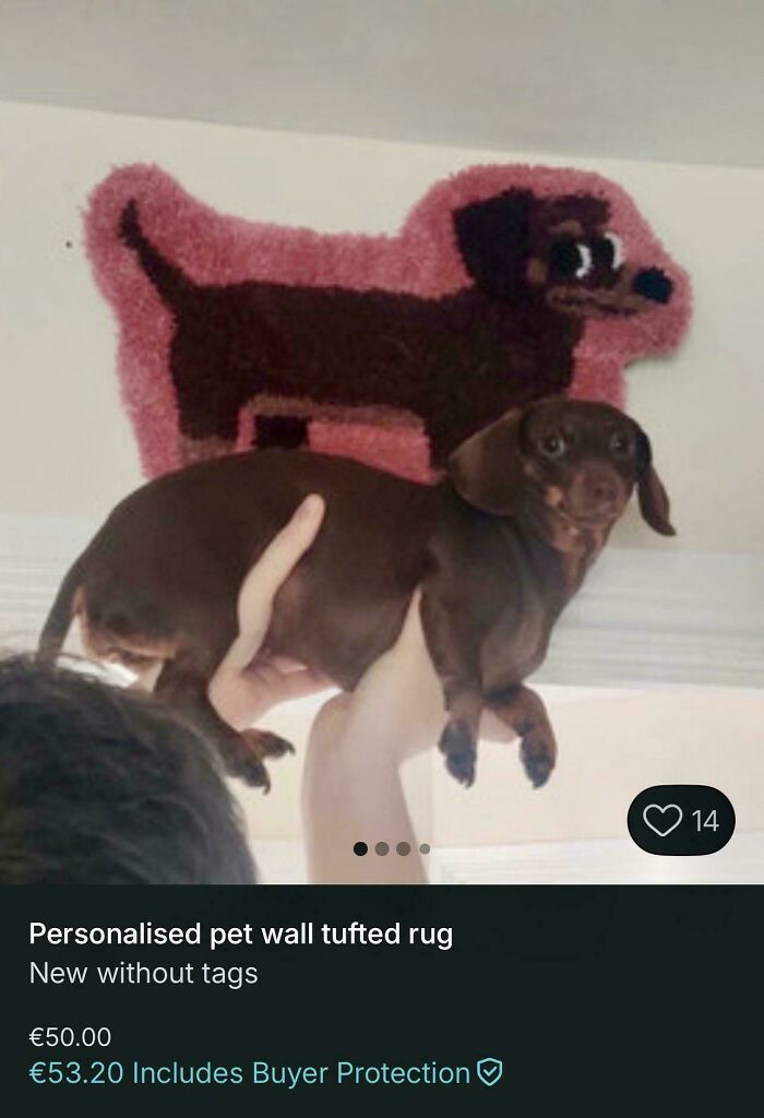 An image of a brown dachshund held up next to a pink, dog-shaped tufted rug, advertised as a personalised pet wall tufted rug on Vinted.
