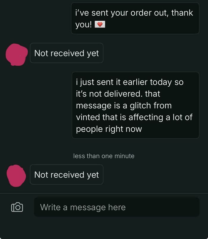 A screenshot of unhinged Vinted messages showing a buyer repeatedly stating 'Not received yet' despite the seller explaining a Vinted glitch.