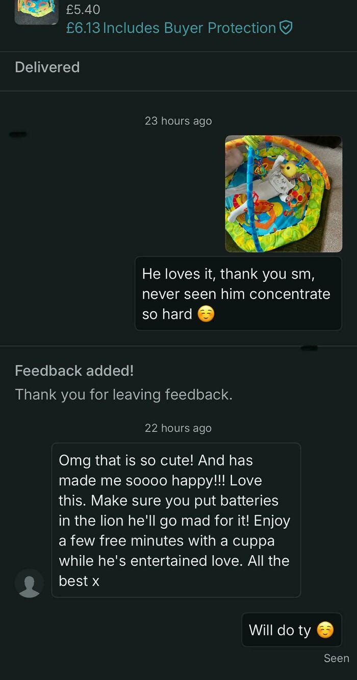 A Vinted conversation about a baby play mat, with buyer feedback and seller's appreciation.