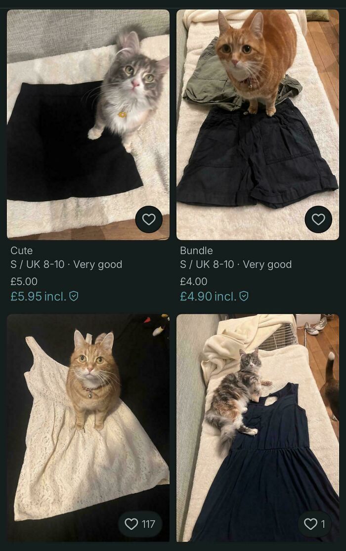 A Vinted post with cats comically posing on various clothing items, including skirts and dresses.
