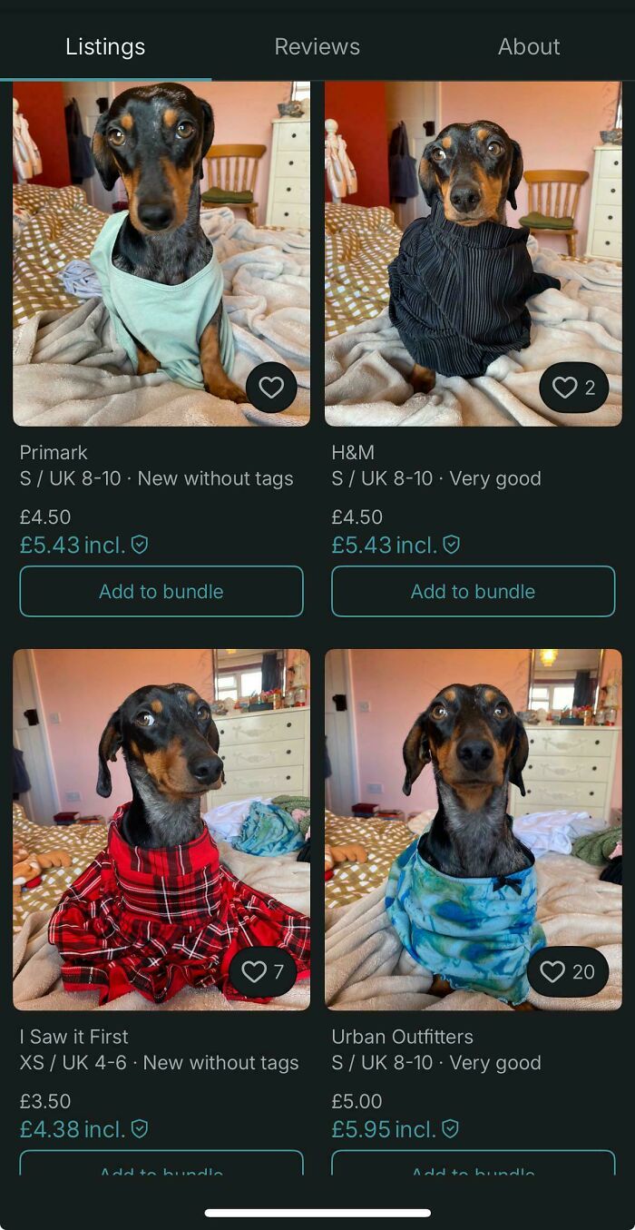 A Vinted post showcasing a dachshund modeling various dog sweaters, humorously listed as human clothing.
