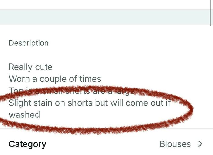 A Vinted description revealing a 'slight stain on shorts' circled in red, illustrating unhinged Vinted posts.
