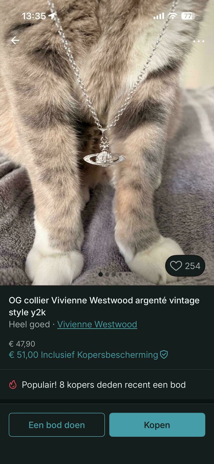 A fluffy cat modeling a Vivienne Westwood necklace, with its paws visible, from a funny Vinted post.