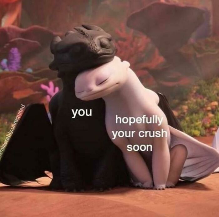 A chuckle-some meme about relationships, life, showing Toothless embracing Light Fury with text 'you' and 'hopefully your crush soon'.