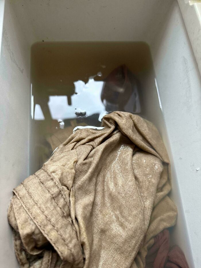 Unhinged Vinted posts show dirty clothes soaking in murky brown water in a white basin.