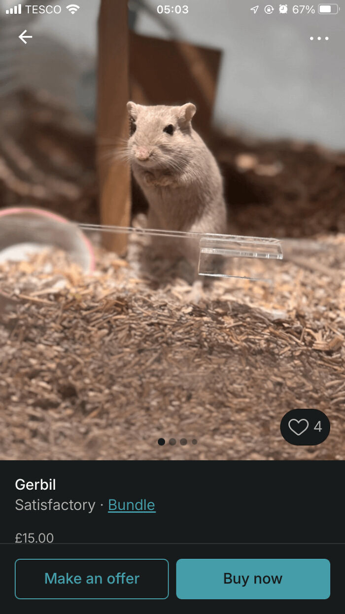 An unhinged Vinted post of a gerbil for sale, listed as 'Satisfactory' condition.