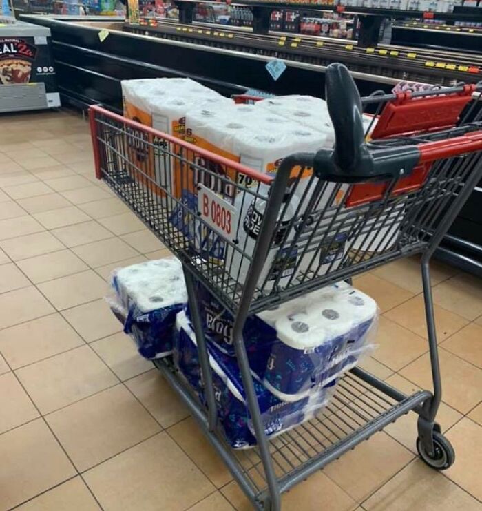 A shopping cart overflowing with multiple large packs of toilet paper, highlighting unbelievably stupid panic buying behavior.