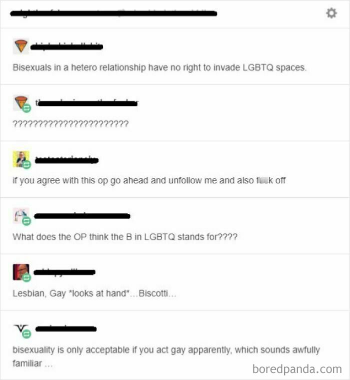 An unbelievably stupid and infuriating online discussion about bisexuals in LGBTQ spaces.
