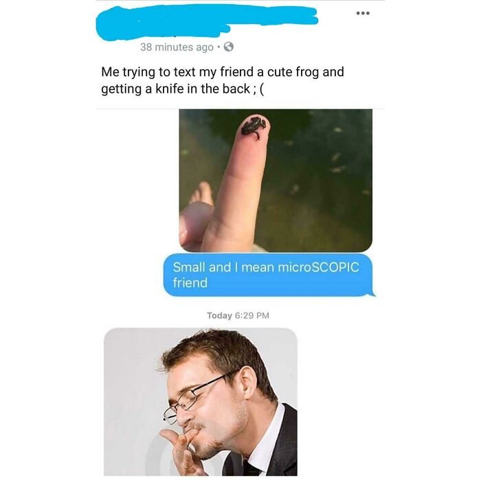 A screenshot of hilarious texts showing a tiny frog on a finger and a man reacting with a cringe expression.