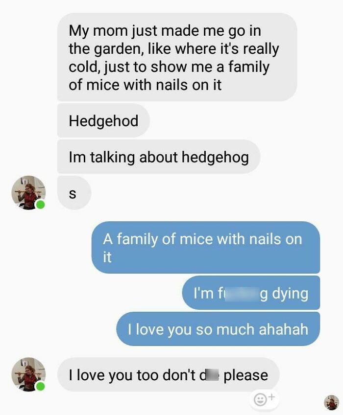 A screenshot of a hilarious text conversation about a misunderstanding of a hedgehog being a family of mice with nails.
