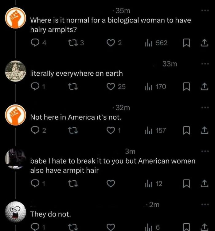 A social media discussion where an American user denies women globally or in America have armpit hair, showing American stupidity.