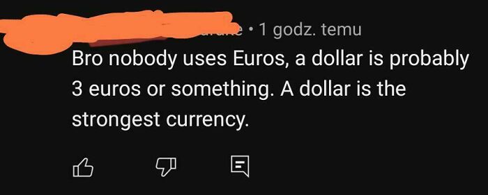 A comment claiming the dollar is the strongest currency and nobody uses euros, highlighting American stupidity.