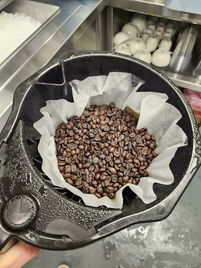 A coffee filter overflowing with coffee beans, symbolizing potential American stupidity.