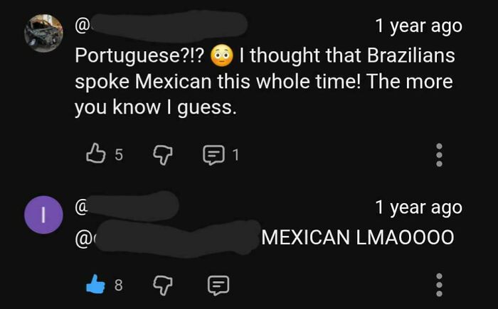 A screenshot of a comment thread where a user believed Brazilians spoke Mexican, illustrating American stupidity.