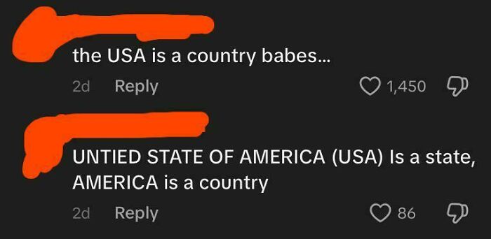 A screenshot showing a comment thread discussing if the USA is a country or a state, showcasing American stupidity.