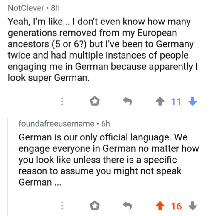 An online conversation where a user assumes they look German, revealing how Americans can be a stupid nation.